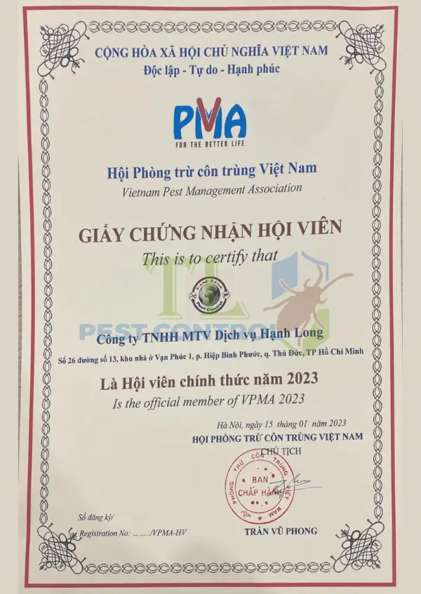 dịch vụ diệt gián