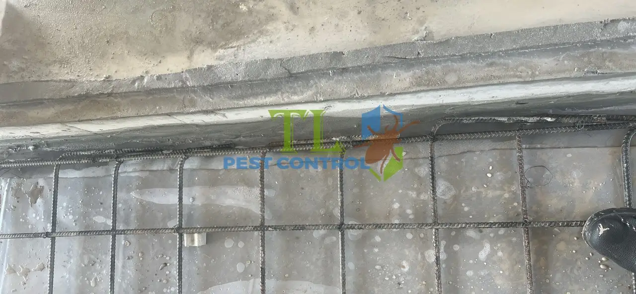 lưới thép không gỉ Termsteel