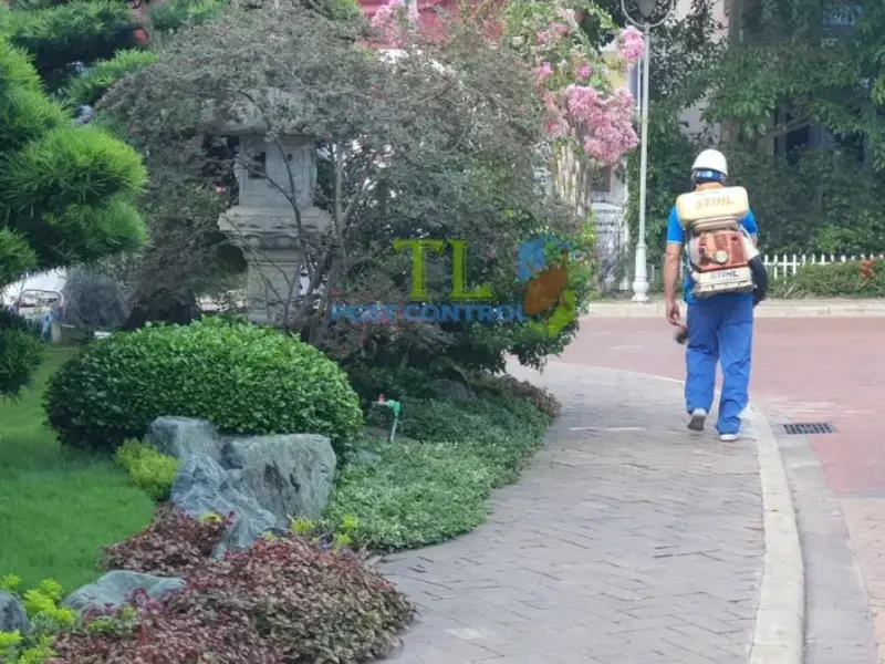 Kỹ thuật viên đang khảo sát