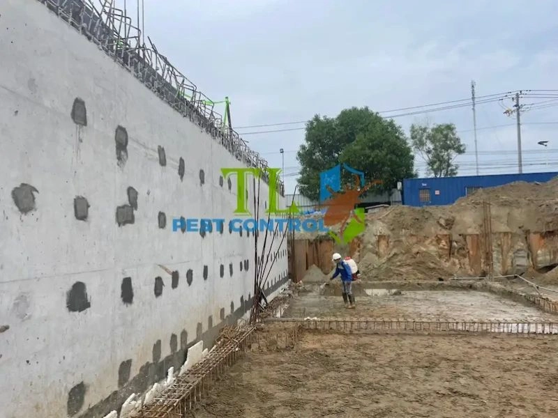 giá dịch vụ diệt mối