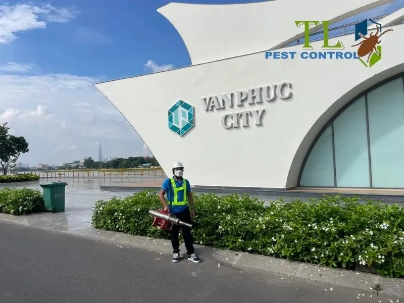 So sánh mối đất và mối gỗ