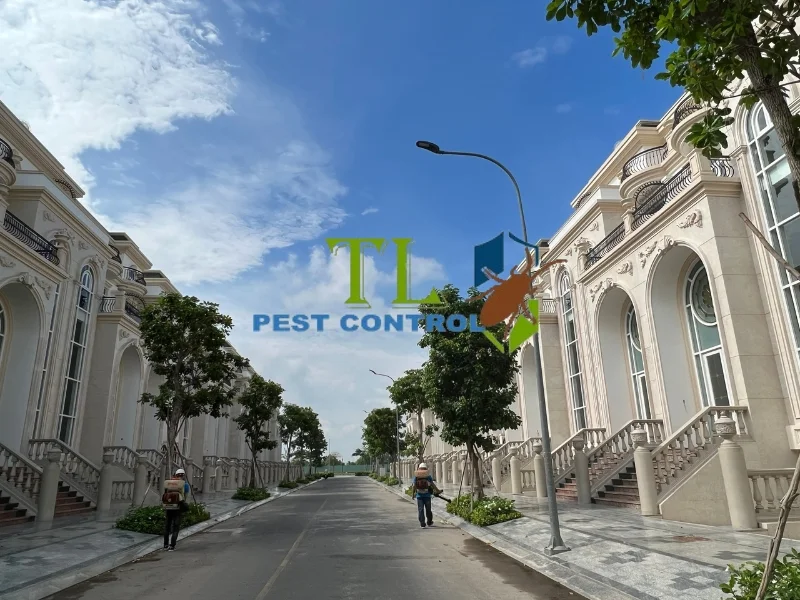 diệt côn trùng huyện cần giờ