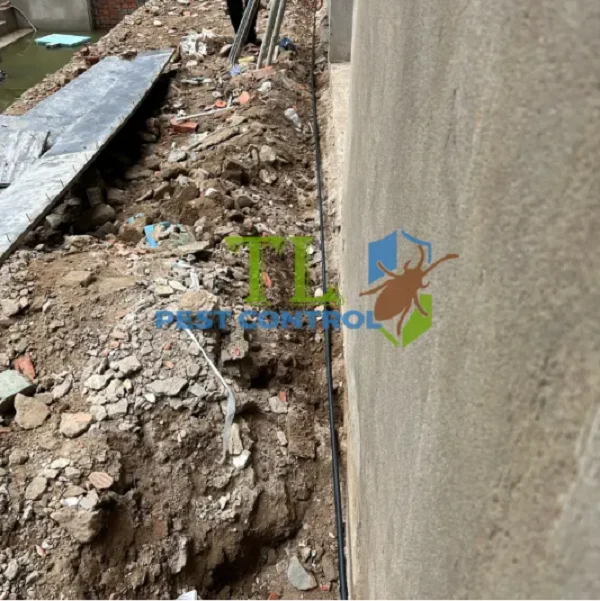 bản vẽ biện pháp thi công chống mối