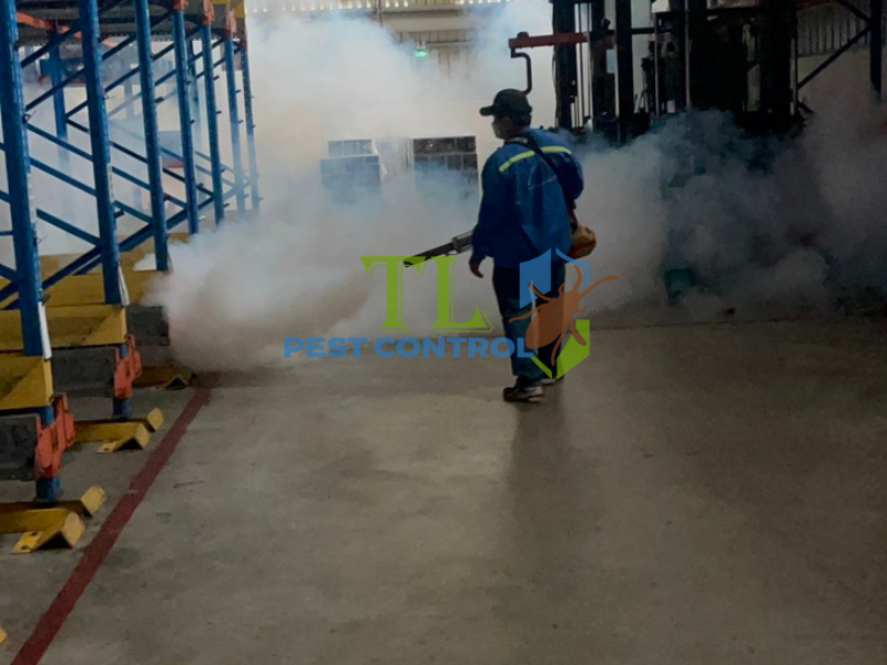 Quy trình dịch vụ diệt mối tận gốc chuyên nghiệp tại Phường Diên Hồng