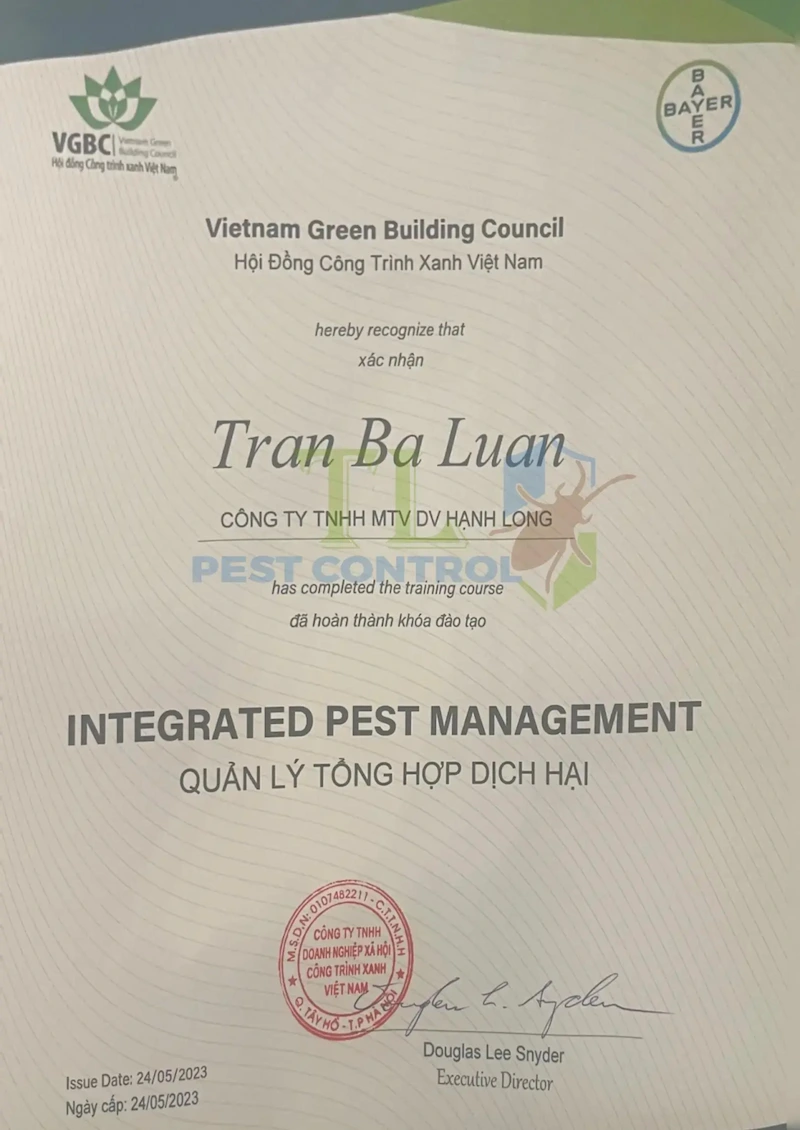 dịch vụ phòng chống mối