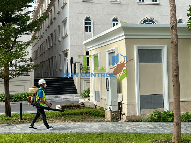 Địa chỉ dịch vụ diệt mối Trần Long phục vụ nhanh chóng tại phường Chánh Hưng