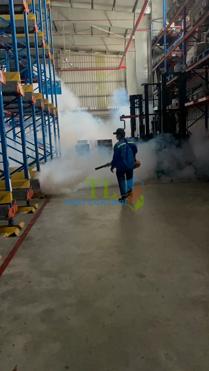 quy trình chống mối công trình xây dựng