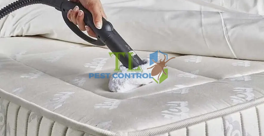 cách diệt rệp giường
