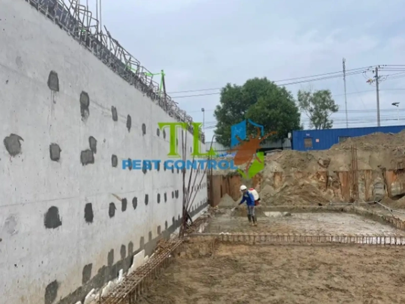diệt mối móng nhà