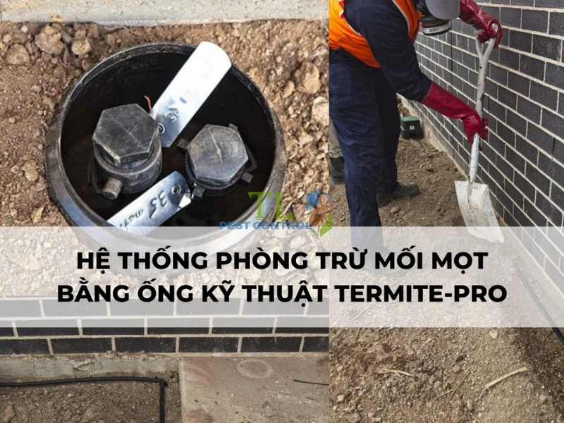 Hệ thống chống mối Termite-pro