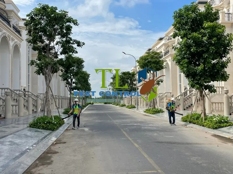 dịch vụ diệt côn trùng bình dương