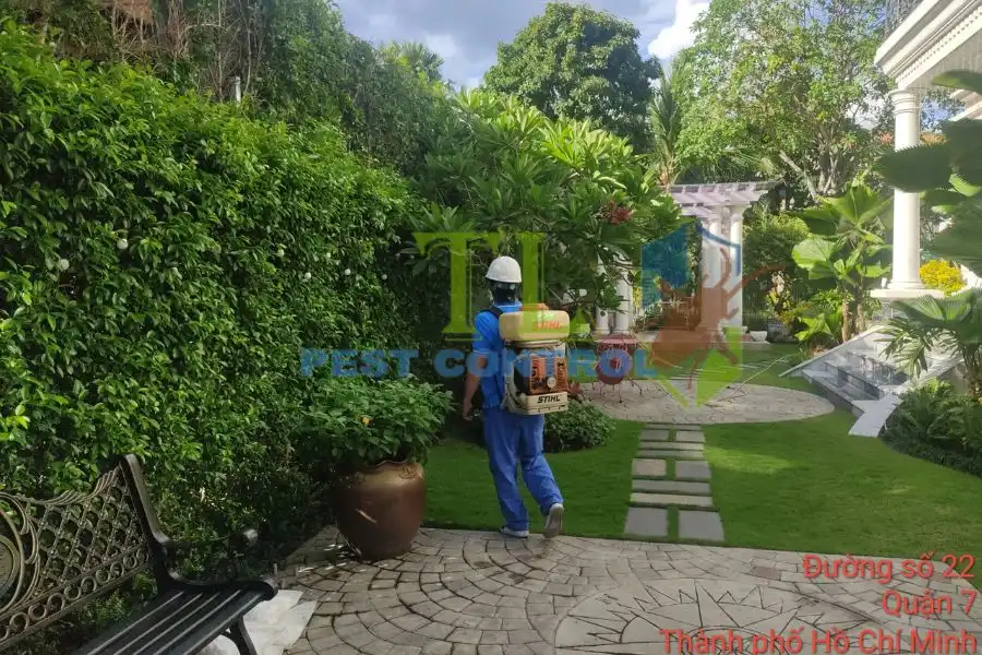 Dịch vụ diệt rệp trắng