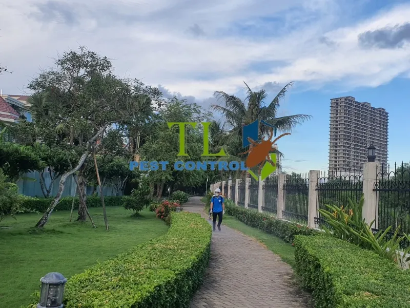 diệt côn trùng huyện cần giờ