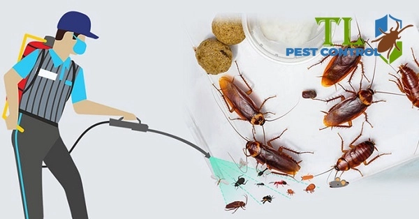 dịch vụ diệt gián