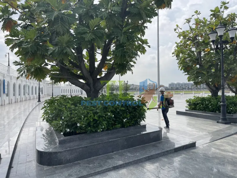  diệt muỗi Củ Chi