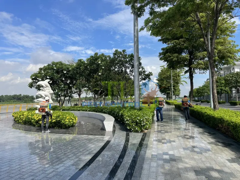 diệt muỗi Bình Chánh