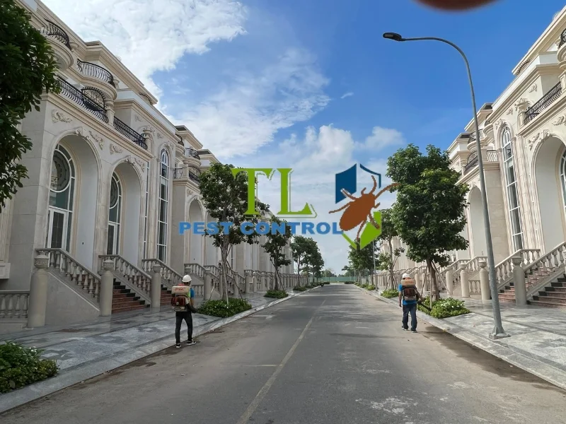diệt côn trùng huyện cần giờ
