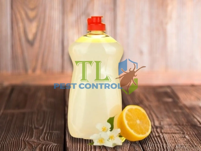 diệt mối cửa gỗ