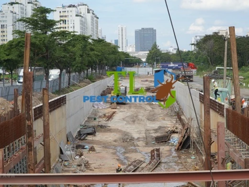 Dịch vụ phòng chống mối công trình tại Phường Phú Thọ
