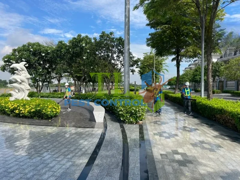 diệt mối cho nhà hàng