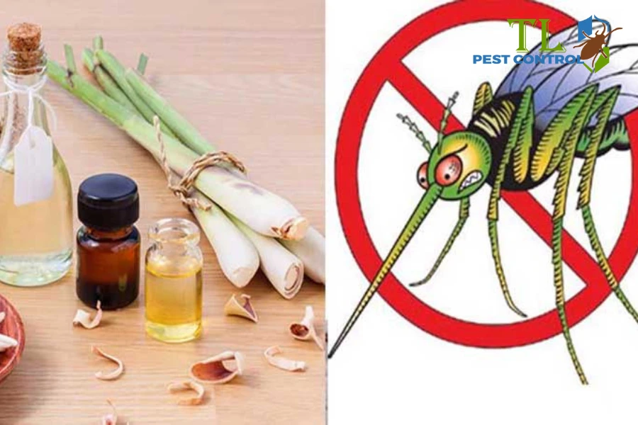 # Top 15+ Cách Diệt Muỗi Tận Gốc Tại Nhà Đơn Giản, Hiệu Quả
