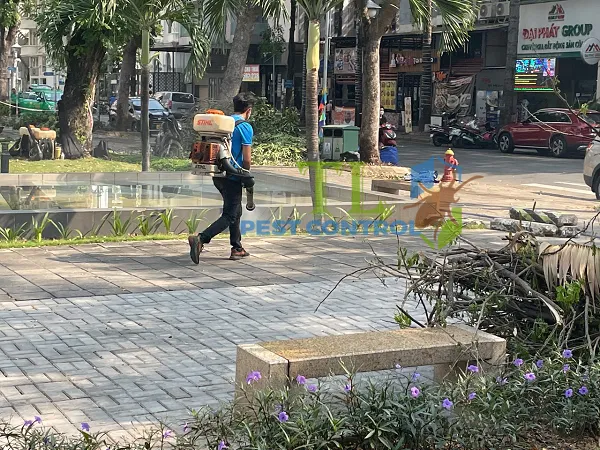 diệt muỗi quận tân bình