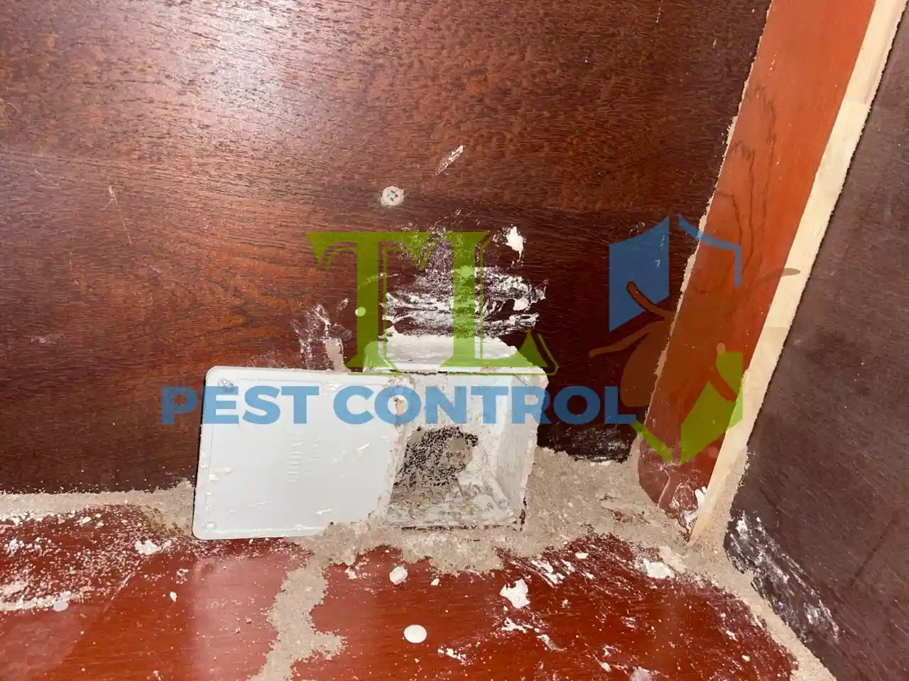 công ty diệt mối
