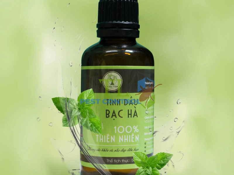 cách đuổi ruồi trong phòng ngủ