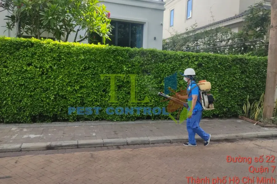 dịch vụ diệt sâu róm