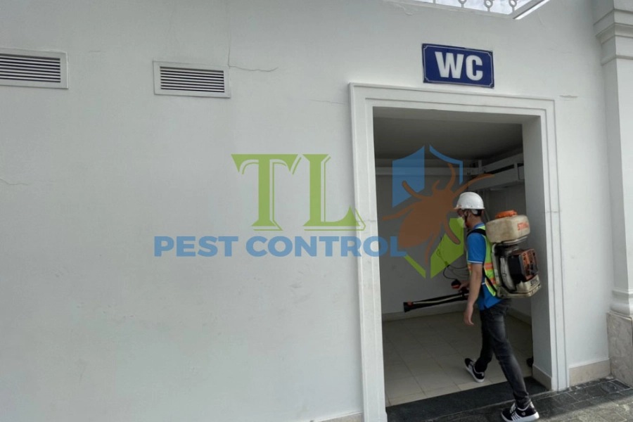#5+ Địa Chỉ Diệt Côn Trùng Huyện Củ Chi Uy Tín, Giá Tốt