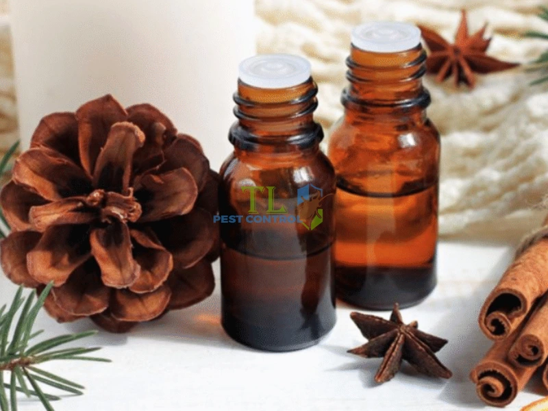 tinh dầu đuổi kiến ba khoang