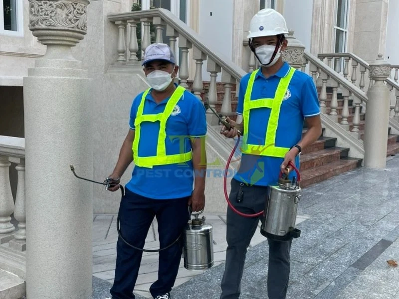 đơn vị diệt mối móng nhà