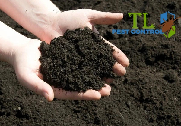 ống kỹ thuật Termite-pro