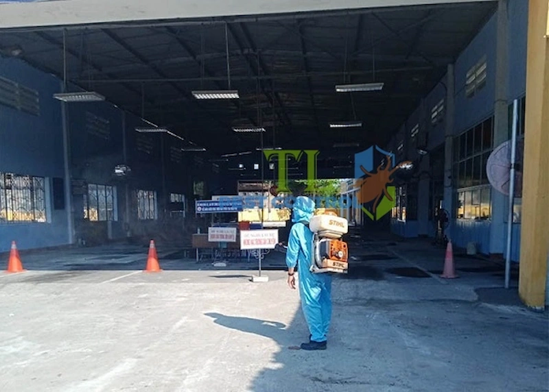 diệt mối gò vấp