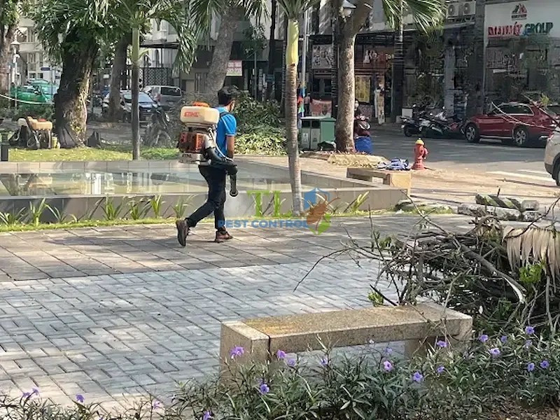 dịch vụ phun muỗi tại nhà