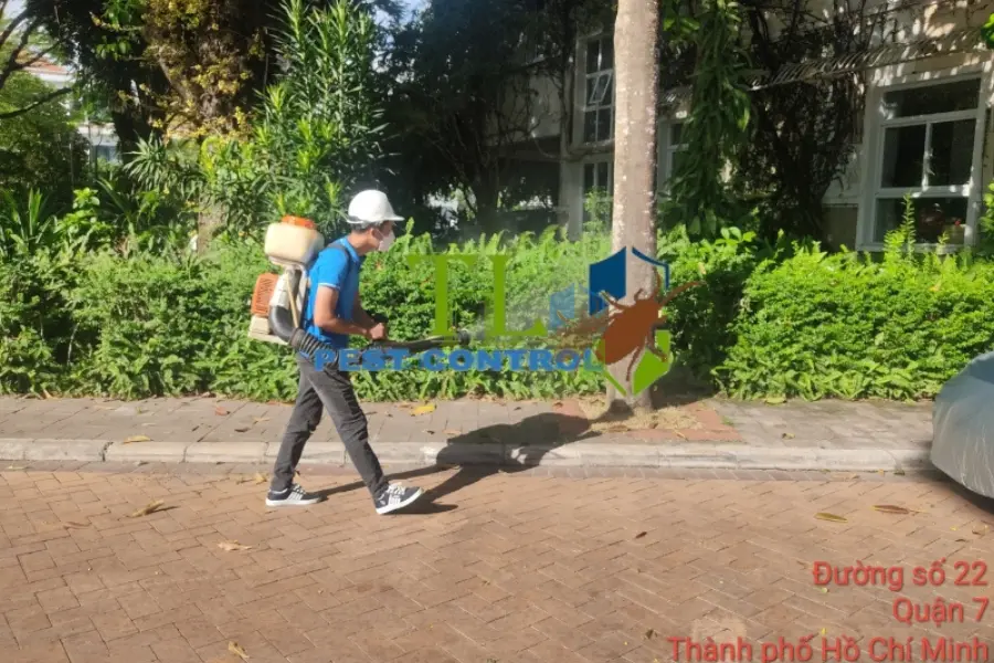 #5+ Địa Chỉ Diệt Côn Trùng Huyện Cần Giờ Uy Tín, Giá Tốt