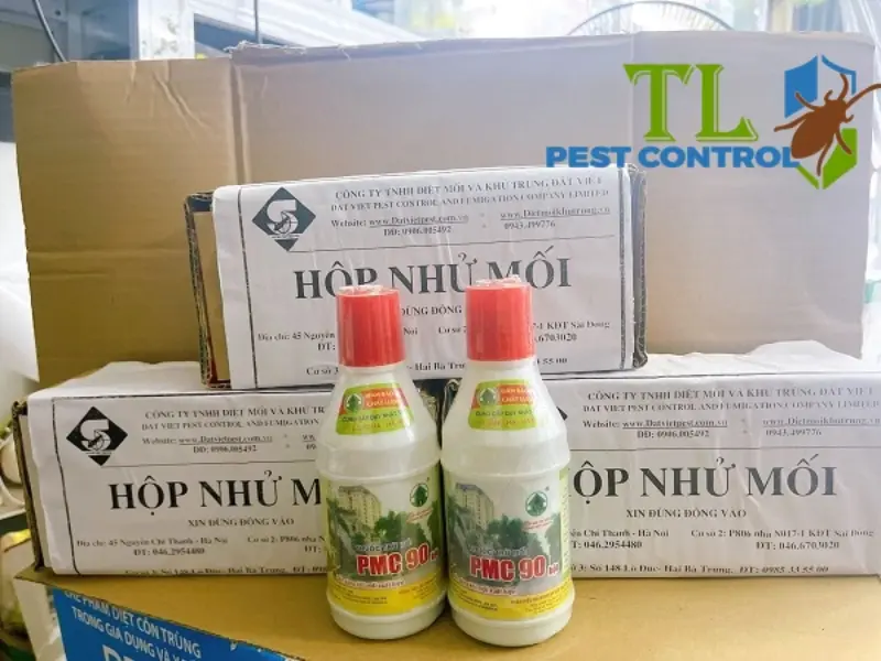diệt mối quận 5