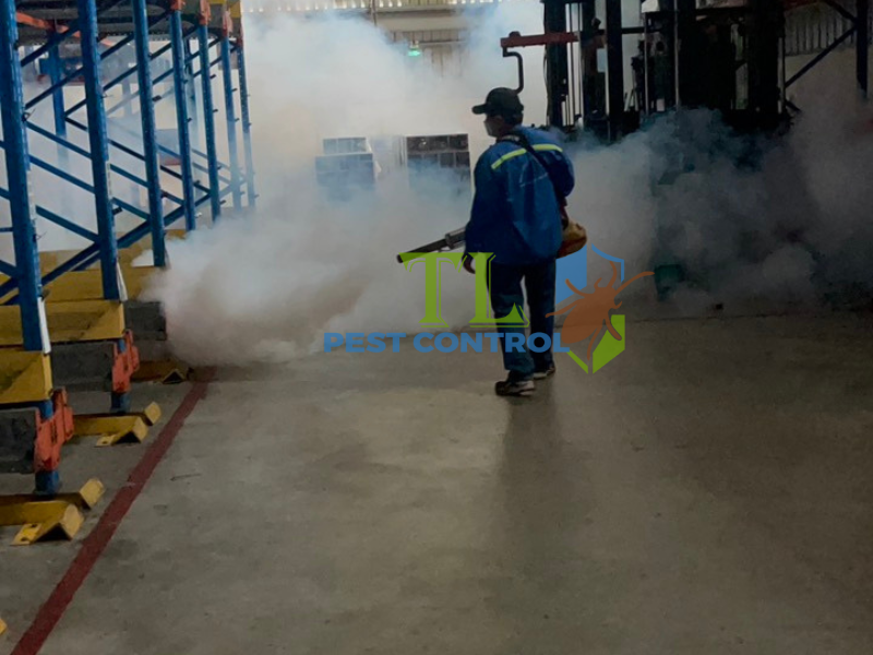 Cam kết chất lượng dịch vụ diệt mối tận gốc Trần Long