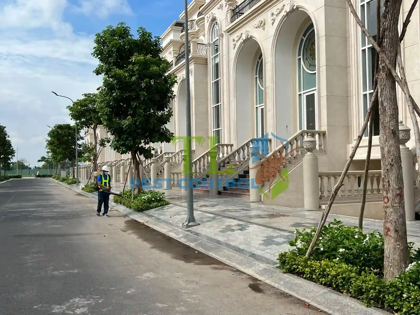 quy trình chống mối công trình xây dựng