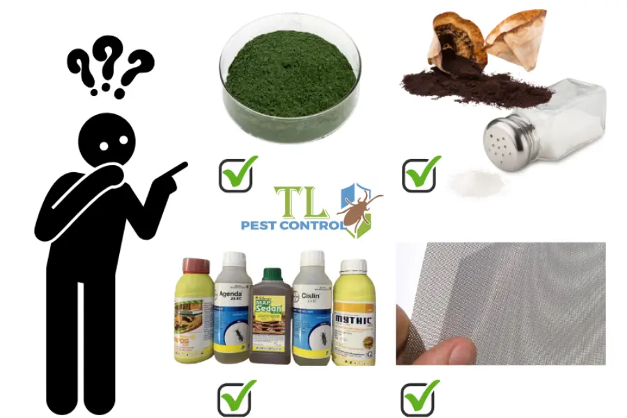 So Sánh Các Cách Diệt Mối Hiệu Quả Nhất: Ưu Nhược Điểm & Lựa Chọn Tối Ưu