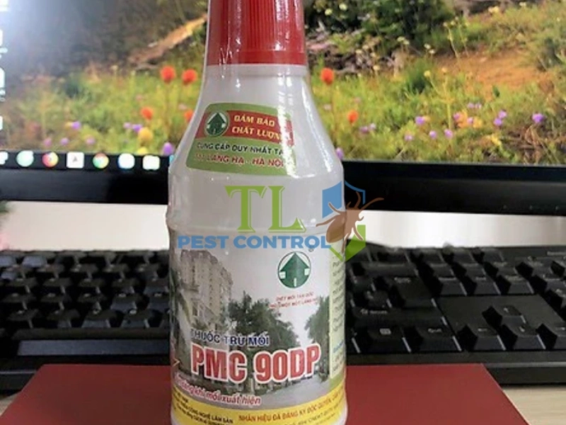 diệt mối ghe tàu