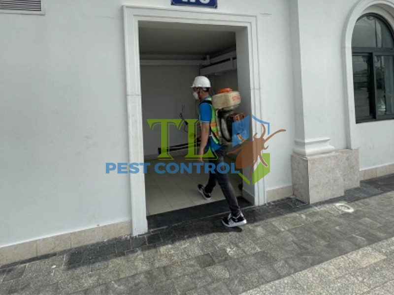 diệt mối quán cà phê