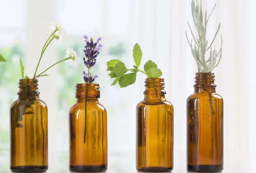 cách diệt rệp giường