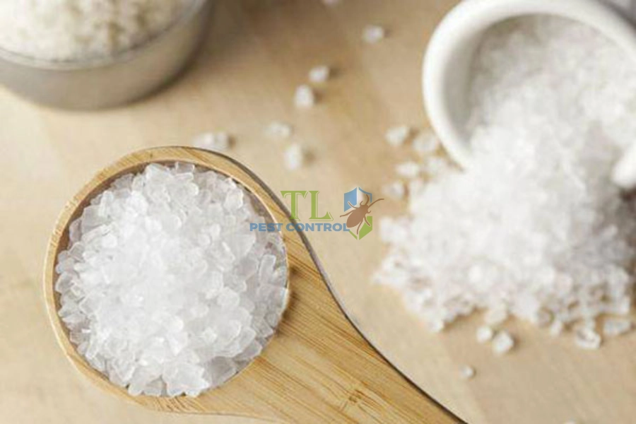 [Hướng Dẫn] Cách Diệt Gián Bằng Phèn Chua Hiệu Quả