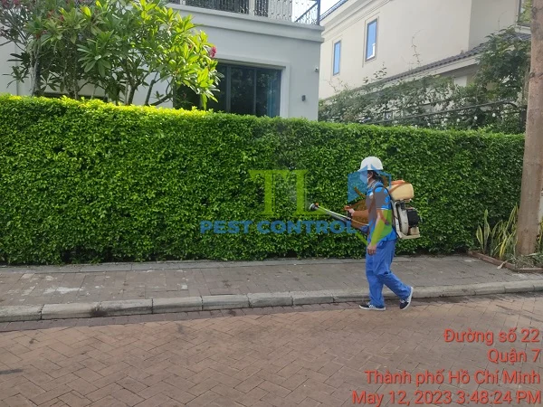 diệt muỗi quận 7