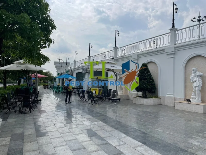 diệt côn trùng huyện củ chi