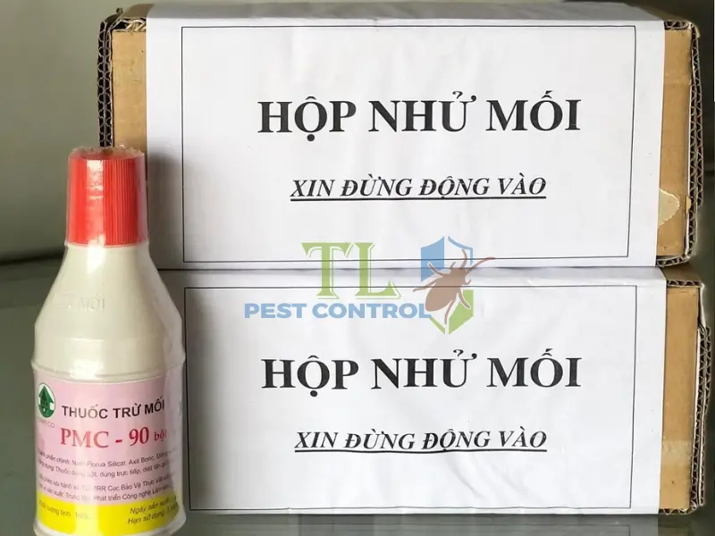 diệt mối vũng tàu