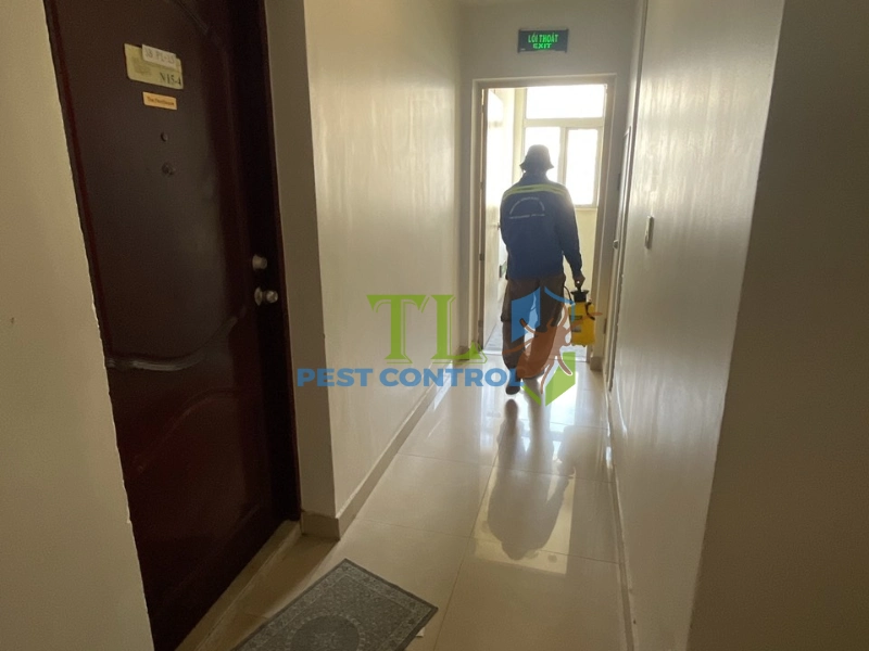 cách đuổi ruồi ra khỏi phòng ngủ