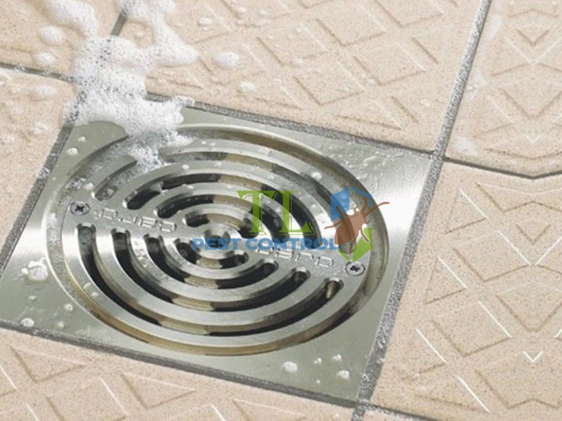 Vệ sinh cống thoát nước thường xuyên 