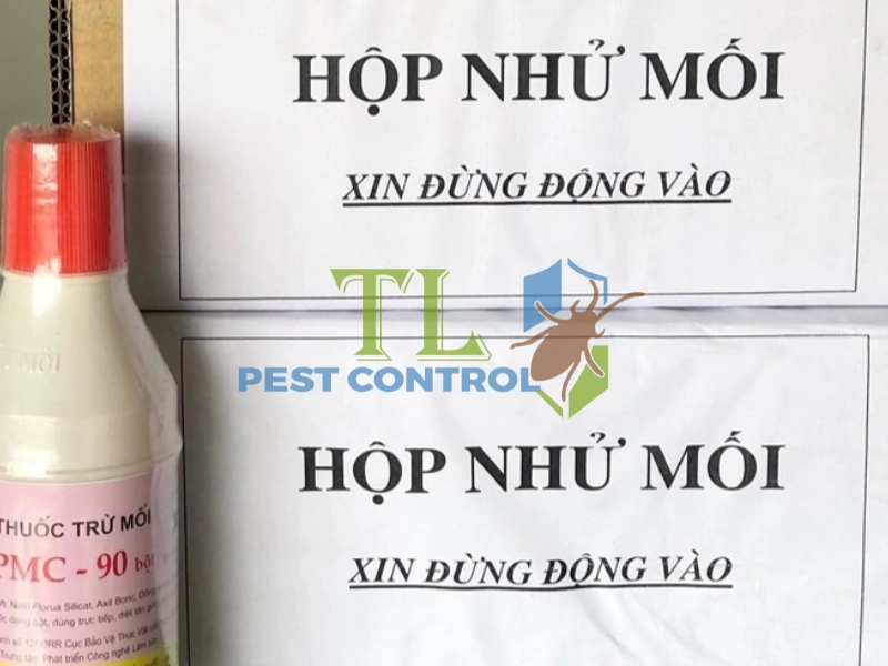 dịch vụ diệt mối tại nhà